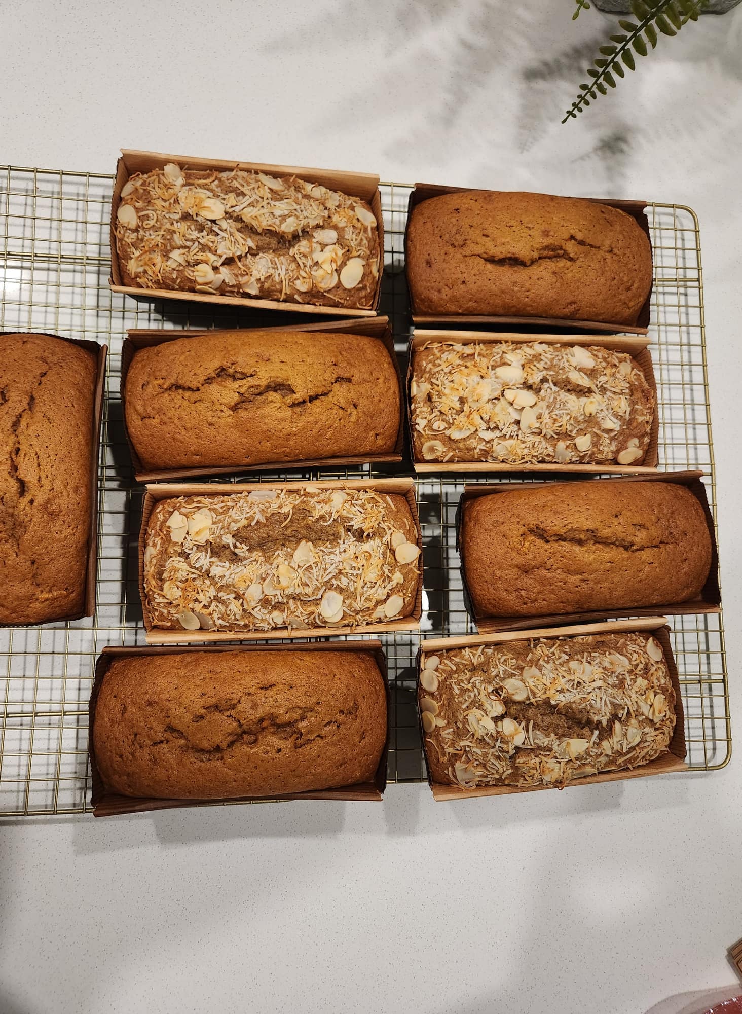 A batch of loaf cakes cooling on a wire rack